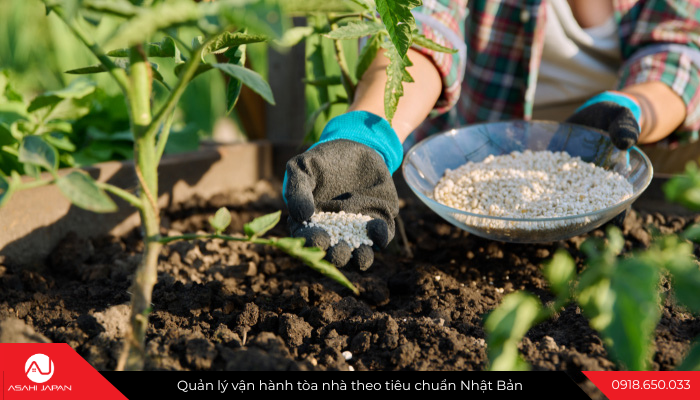 Cùng Asahi Japan tắt điện một giờ - Hưởng ứng hoạt động "Giờ Trái đất" 3 3 2