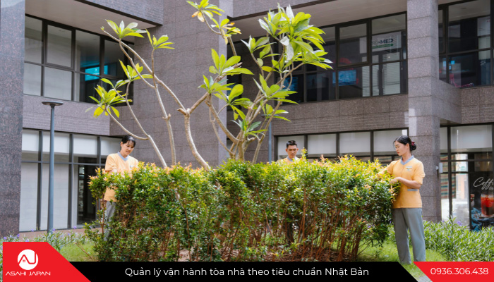 Quy trình bảo dưỡng cây xanh chung cư